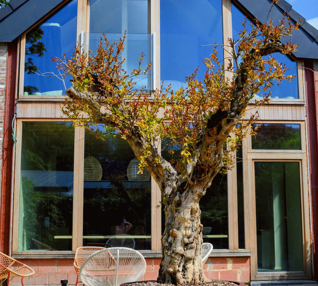 Insi2 Maison de vacances Malines